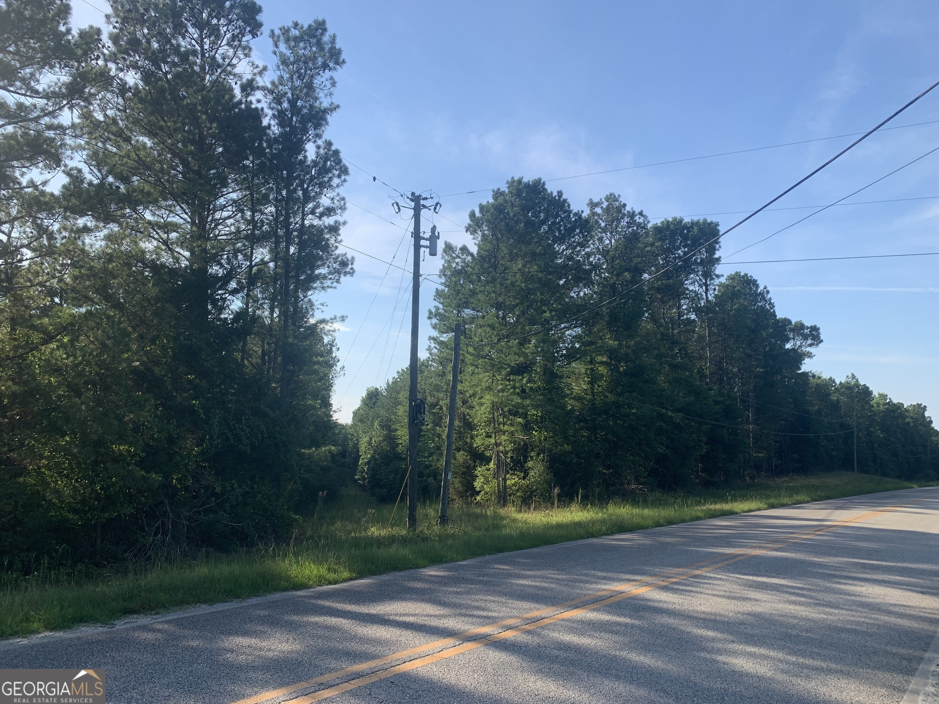 0 Pedenville Road Concord, GA 30206 - Photo 32 of 38 a view of a yard