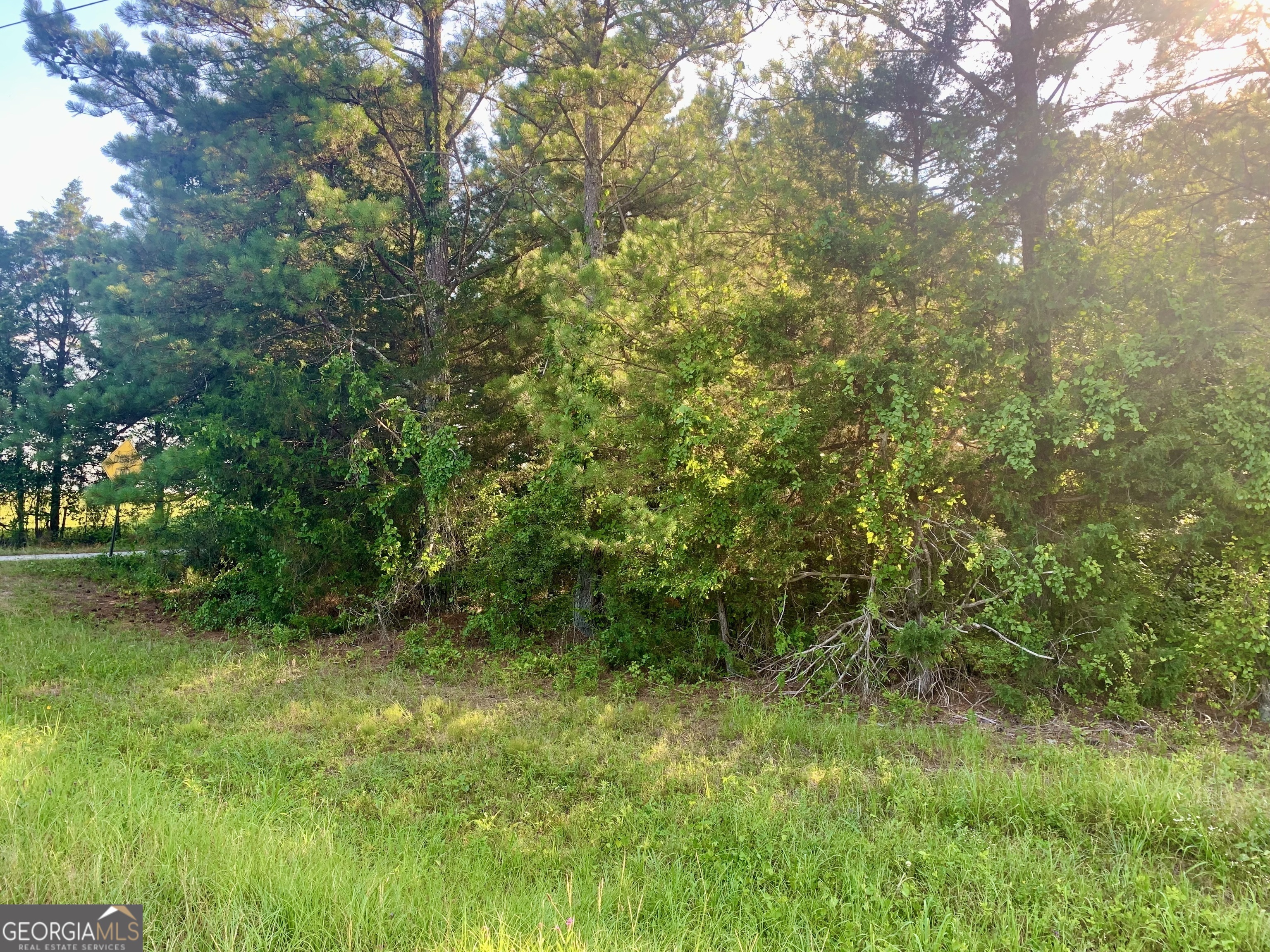 0 Pedenville Road Concord, GA 30206 - Photo 33 of 38 a view of outdoor space and yard