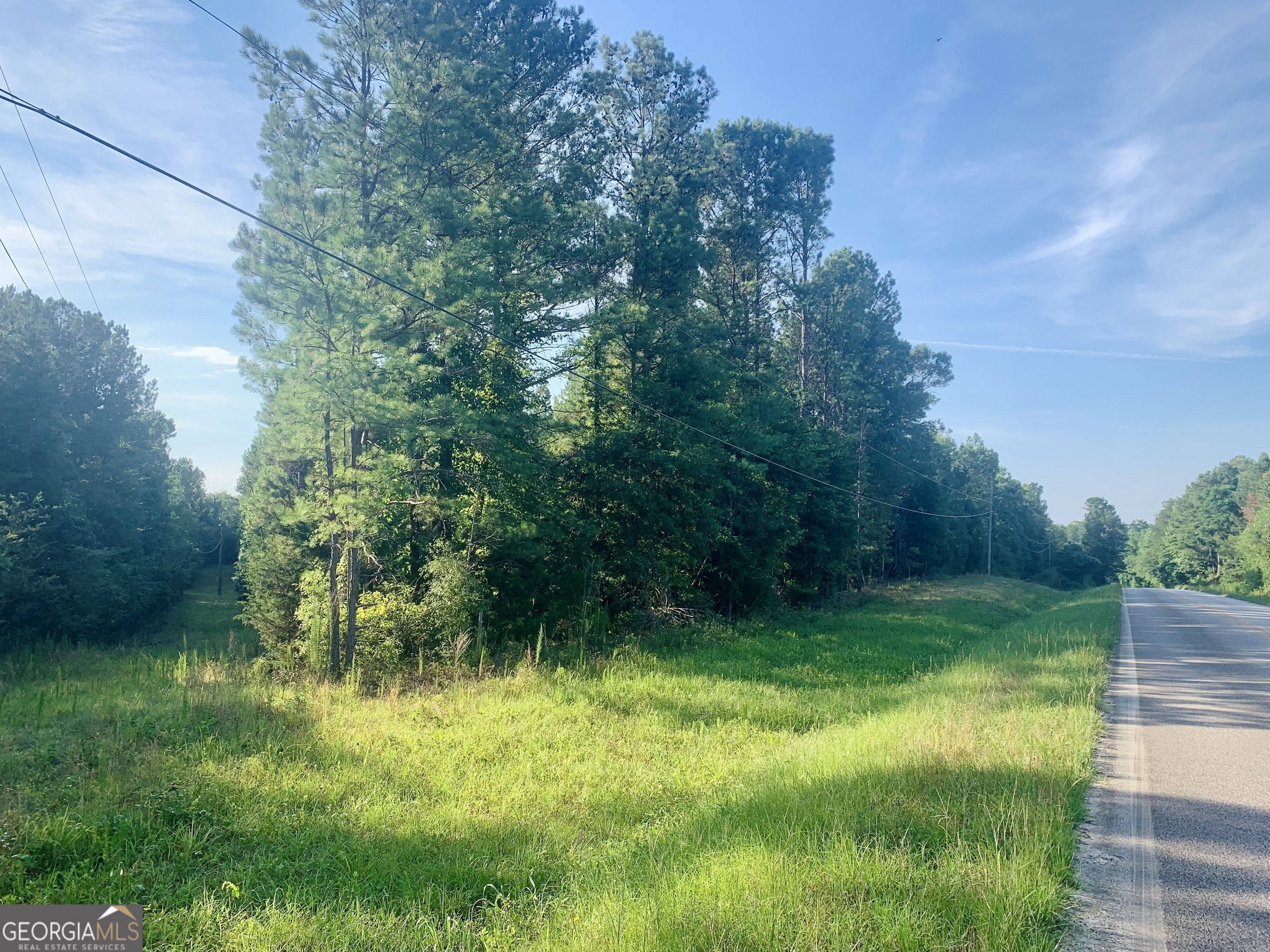 0 Pedenville Road Concord, GA 30206 - Photo 34 of 38 a view of an outdoor space and a yard