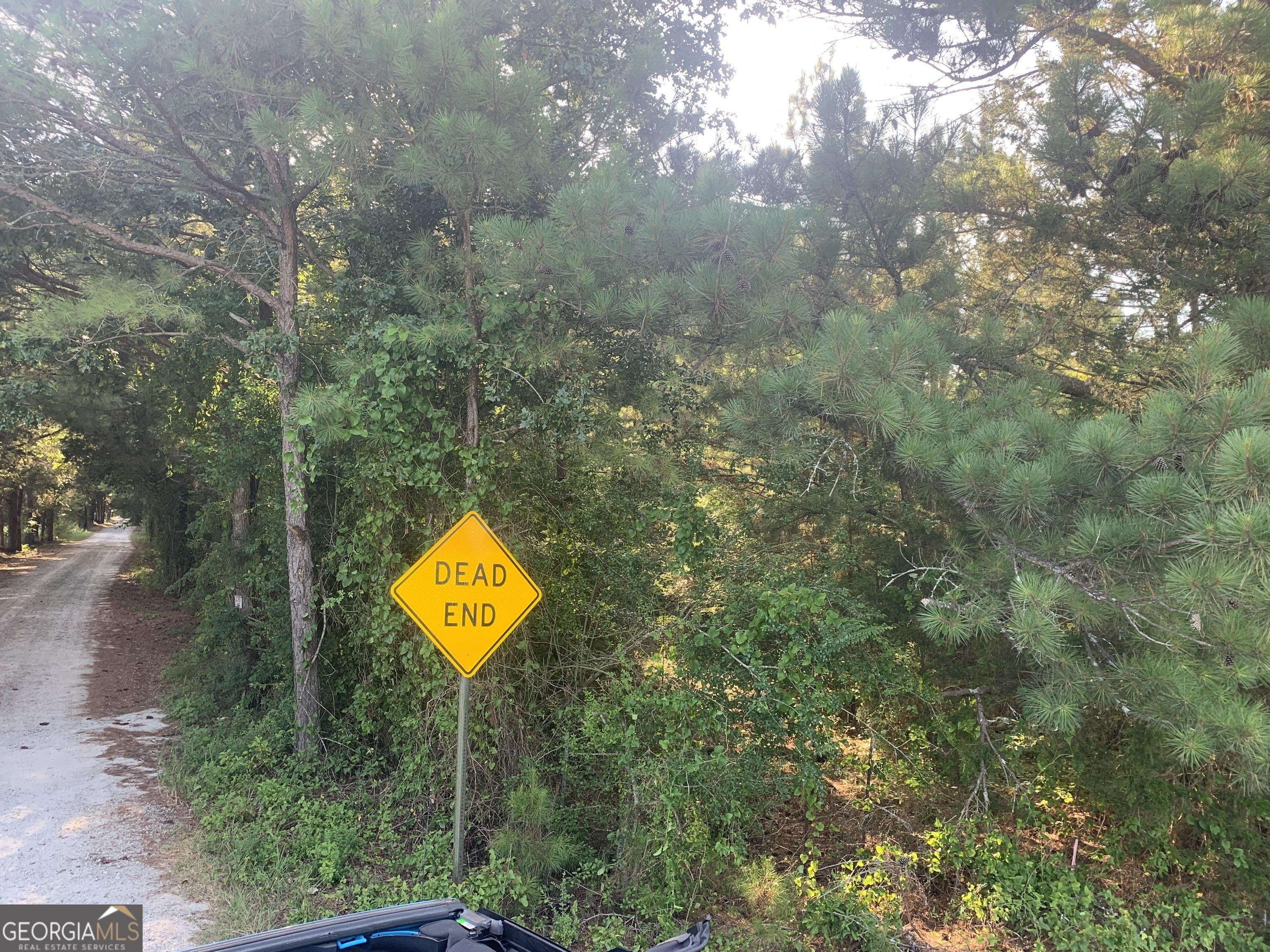 0 Pedenville Road Concord, GA 30206 - Photo 35 of 38 a sign that is sitting in front of a tree