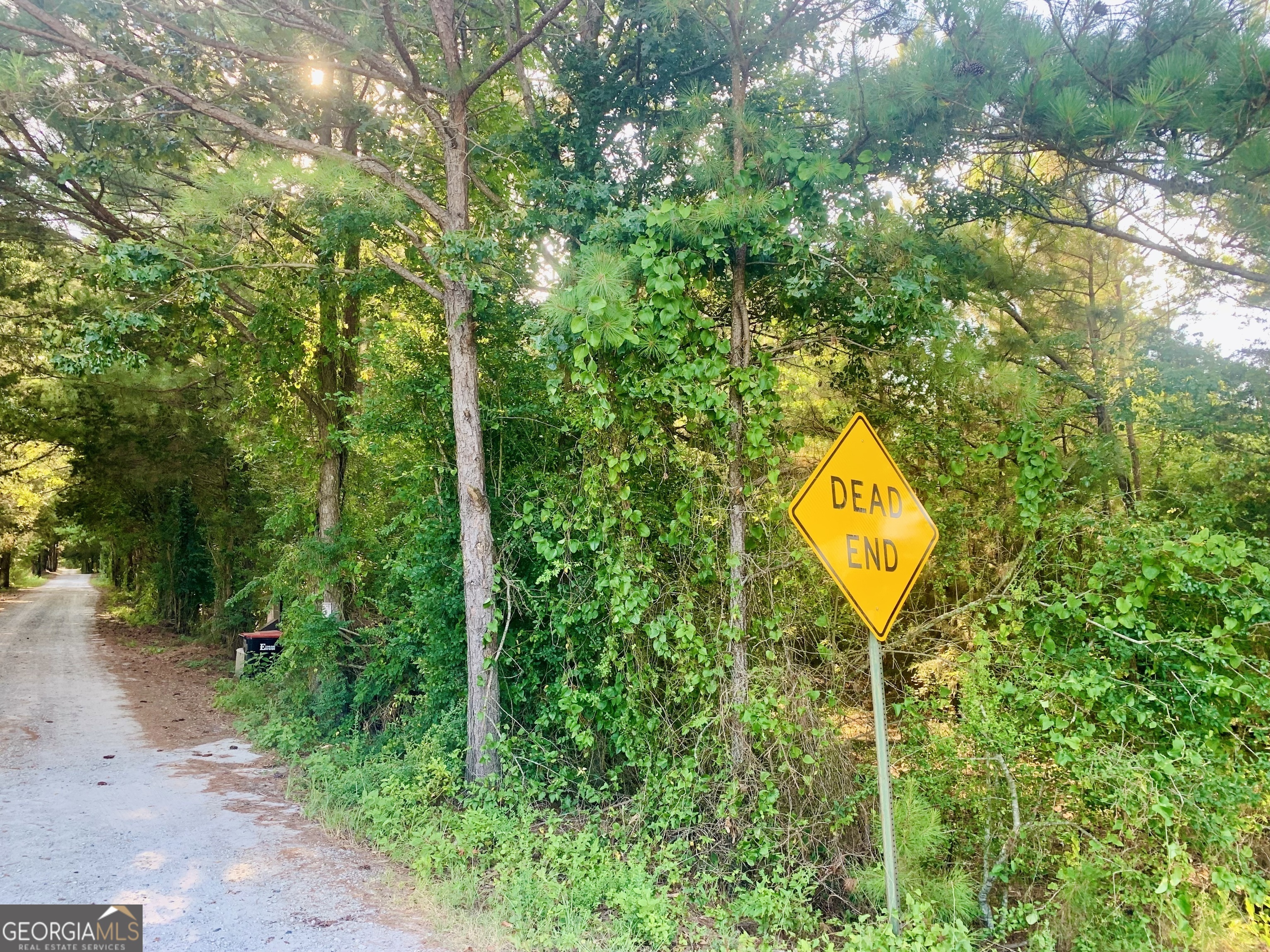 0 Pedenville Road Concord, GA 30206 - Photo 37 of 38