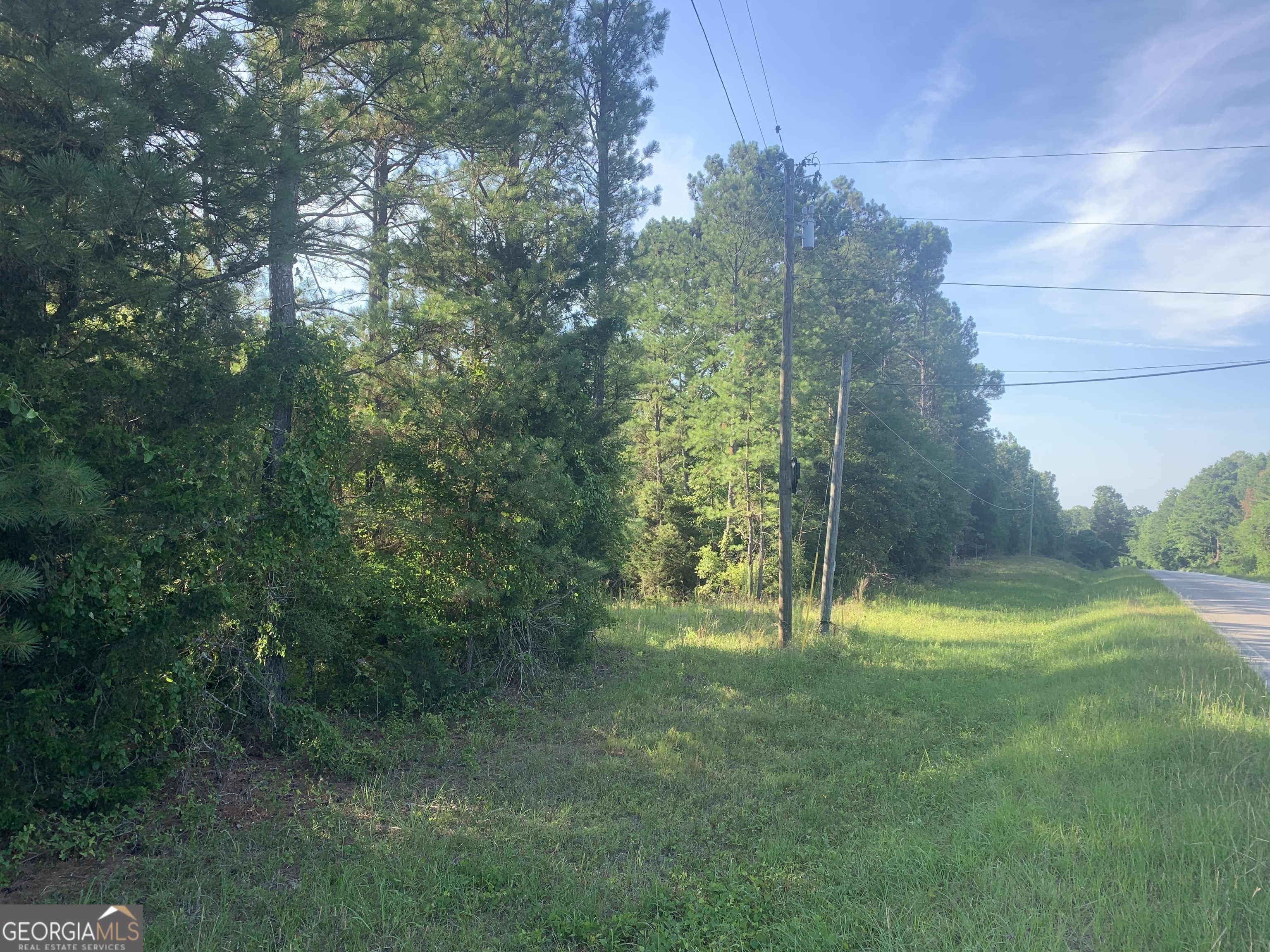 0 Pedenville Road Concord, GA 30206 - Photo 38 of 38 a view of outdoor space