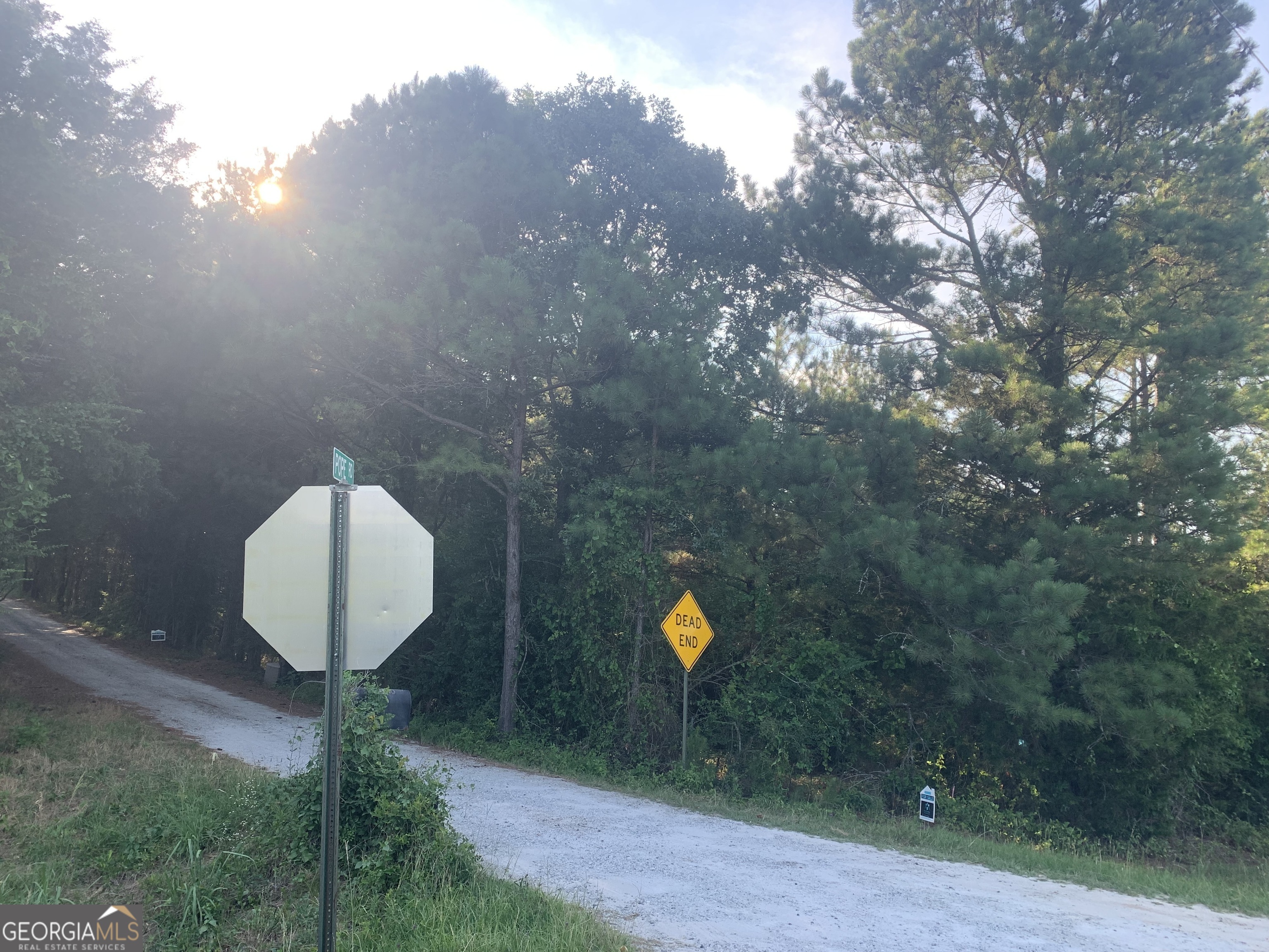 0 Pedenville Road Concord, GA 30206 - Photo 4 of 38 a view of a backyard with a fountain