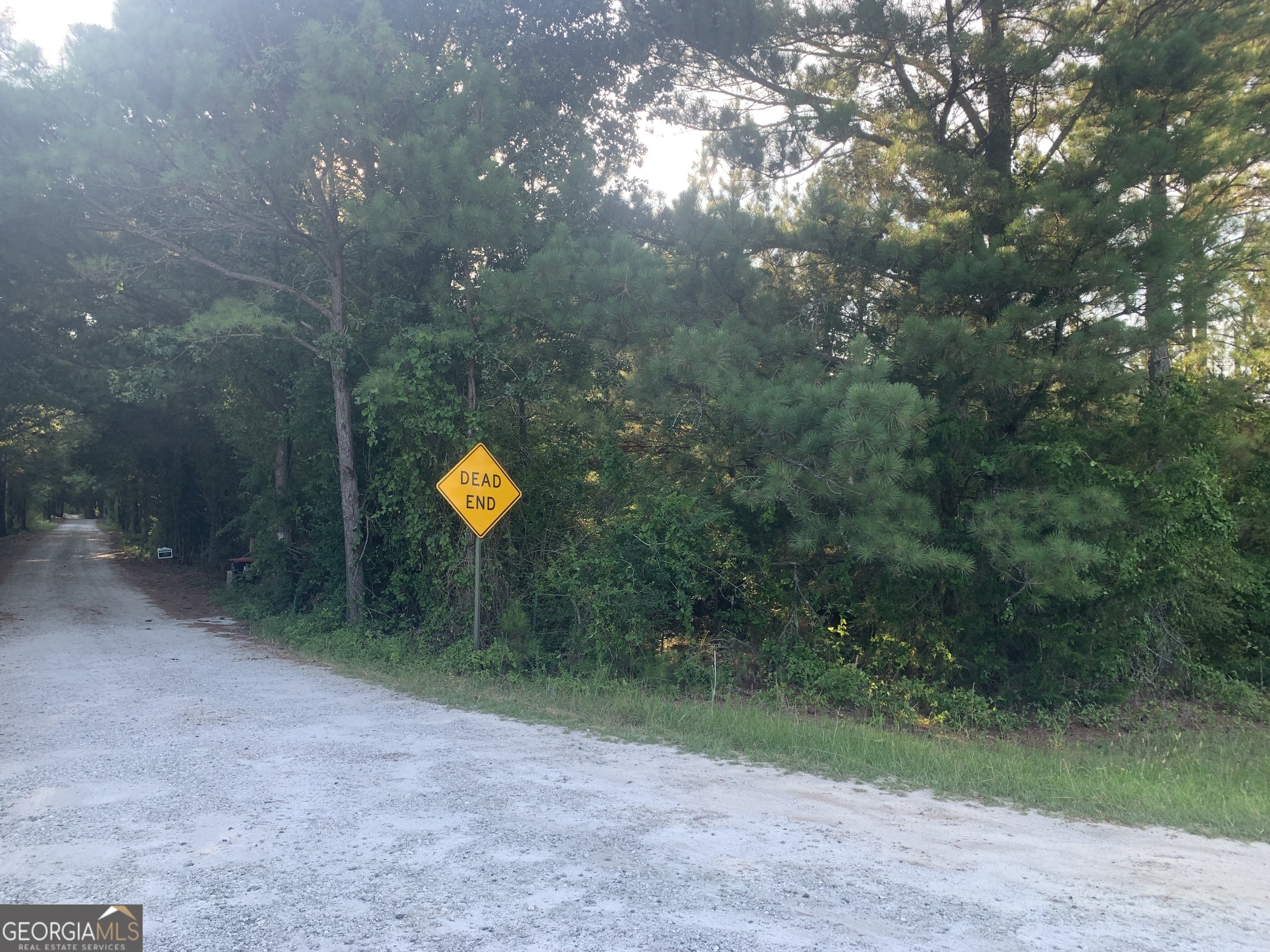 0 Pedenville Road Concord, GA 30206 - Photo 5 of 38 a backyard of a house with a yard and outdoor seating
