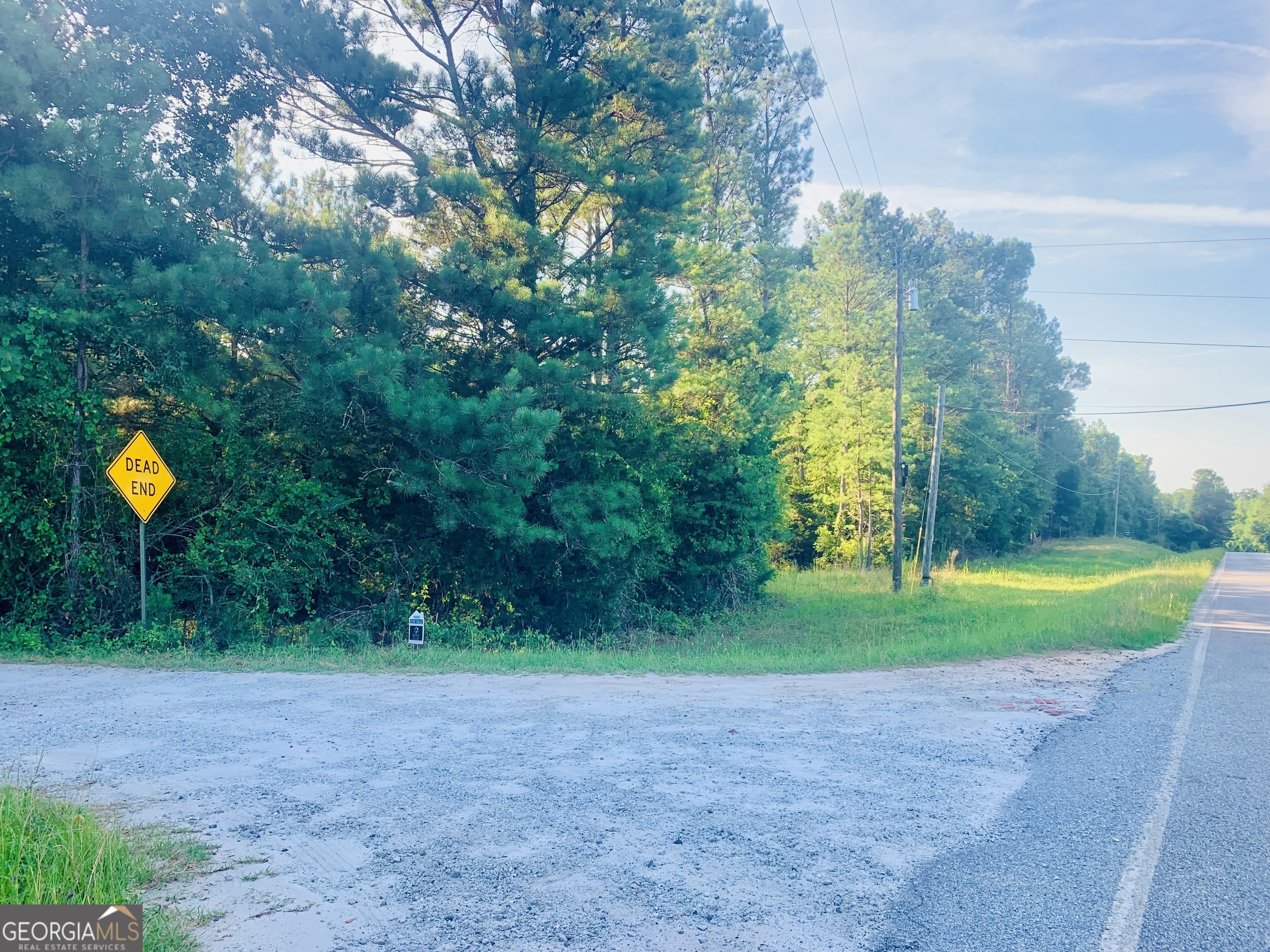 0 Pedenville Road Concord, GA 30206 - Photo 7 of 38 a view of a yard with a house