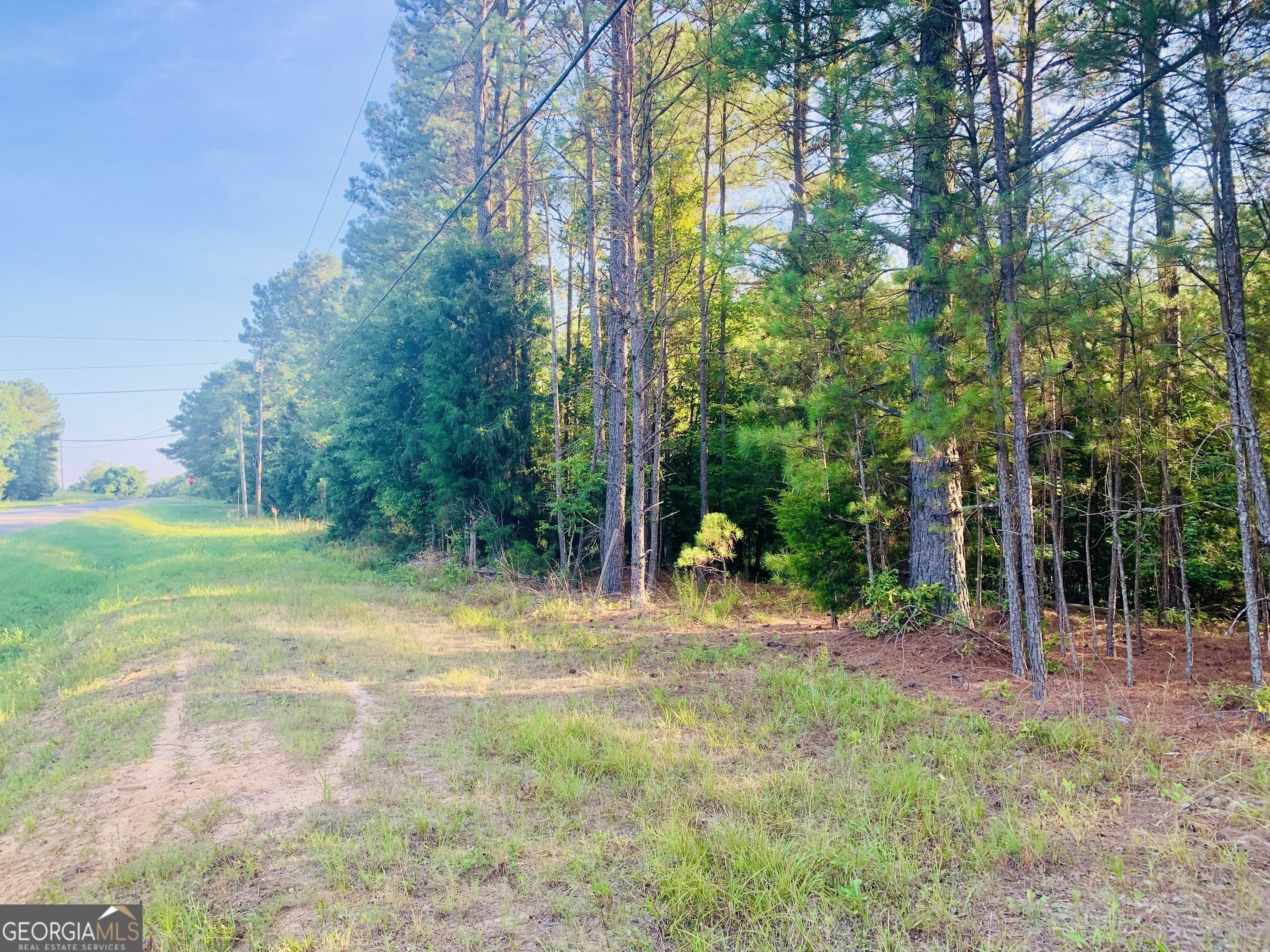 0 Pedenville Road Concord, GA 30206 - Photo 8 of 38 a view of a park with large trees