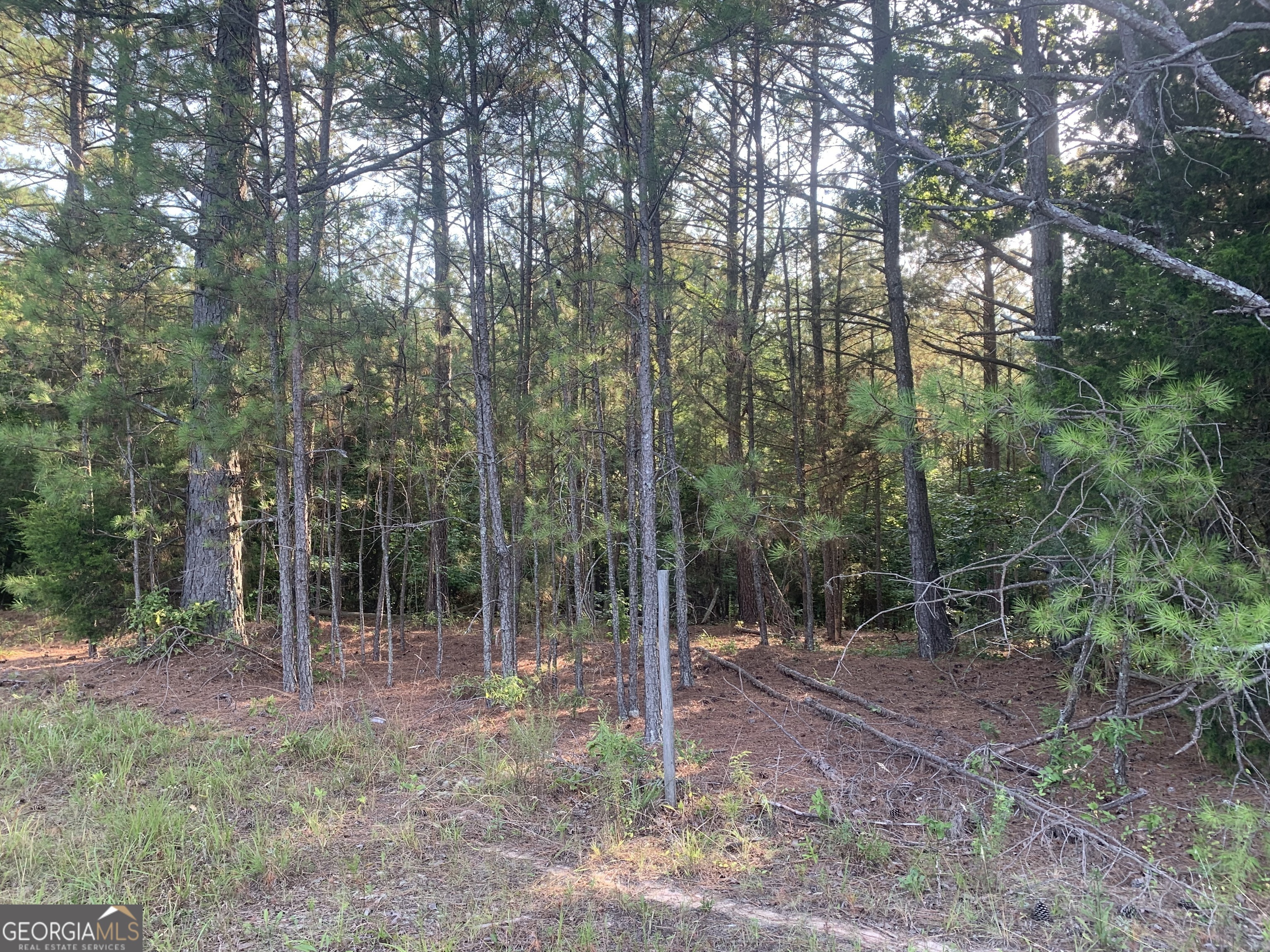 0 Pedenville Road Concord, GA 30206 - Photo 9 of 38 a view of outdoor space and garden