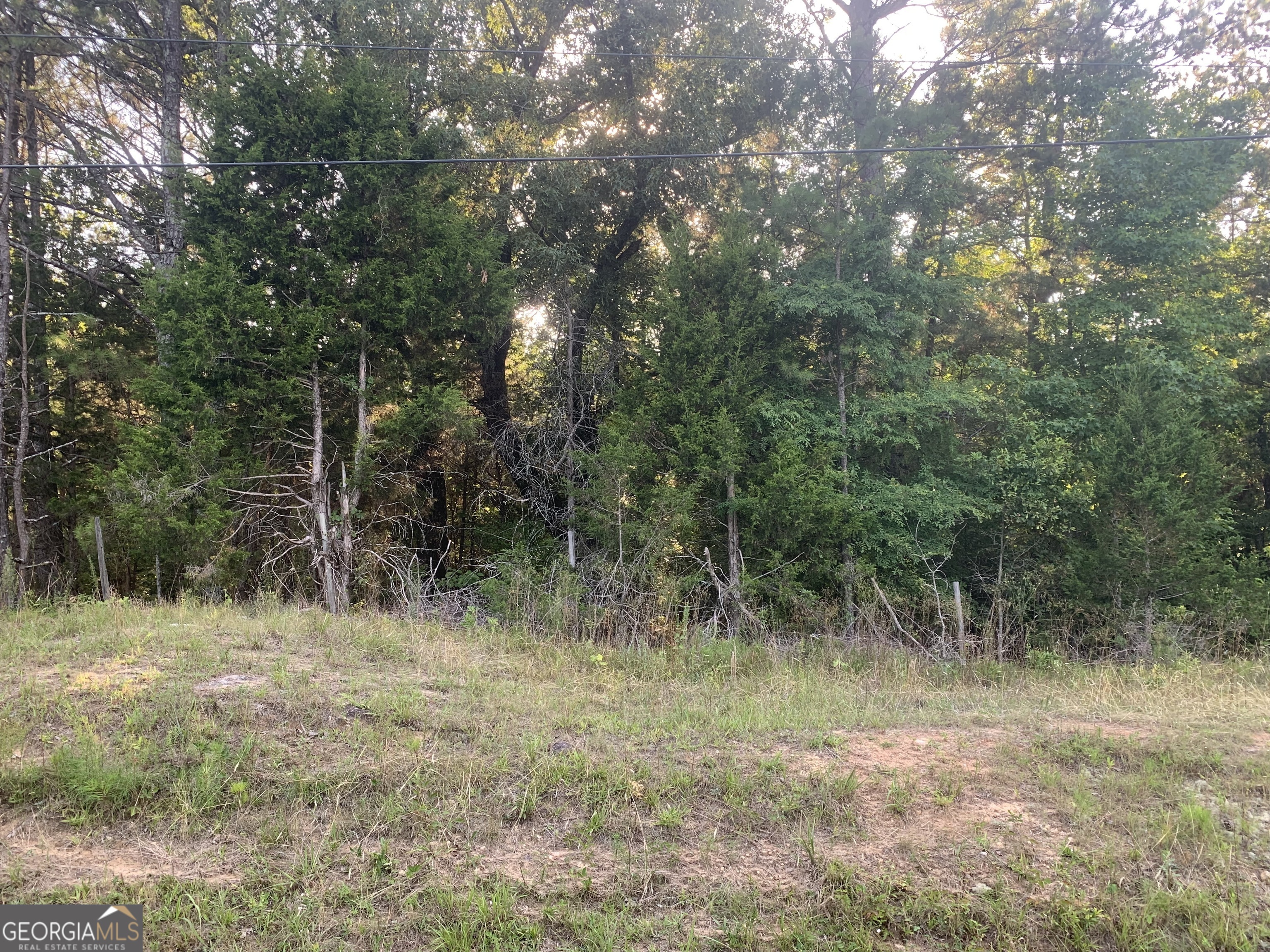 0 Pedenville Road Concord, GA 30206 - Photo 10 of 38 a view of a forest filled with trees