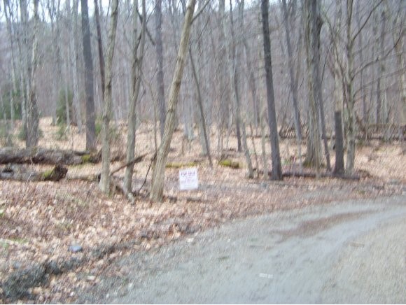 420 Mt View Loop Rochester, VT 05767 - Photo 1 of 1