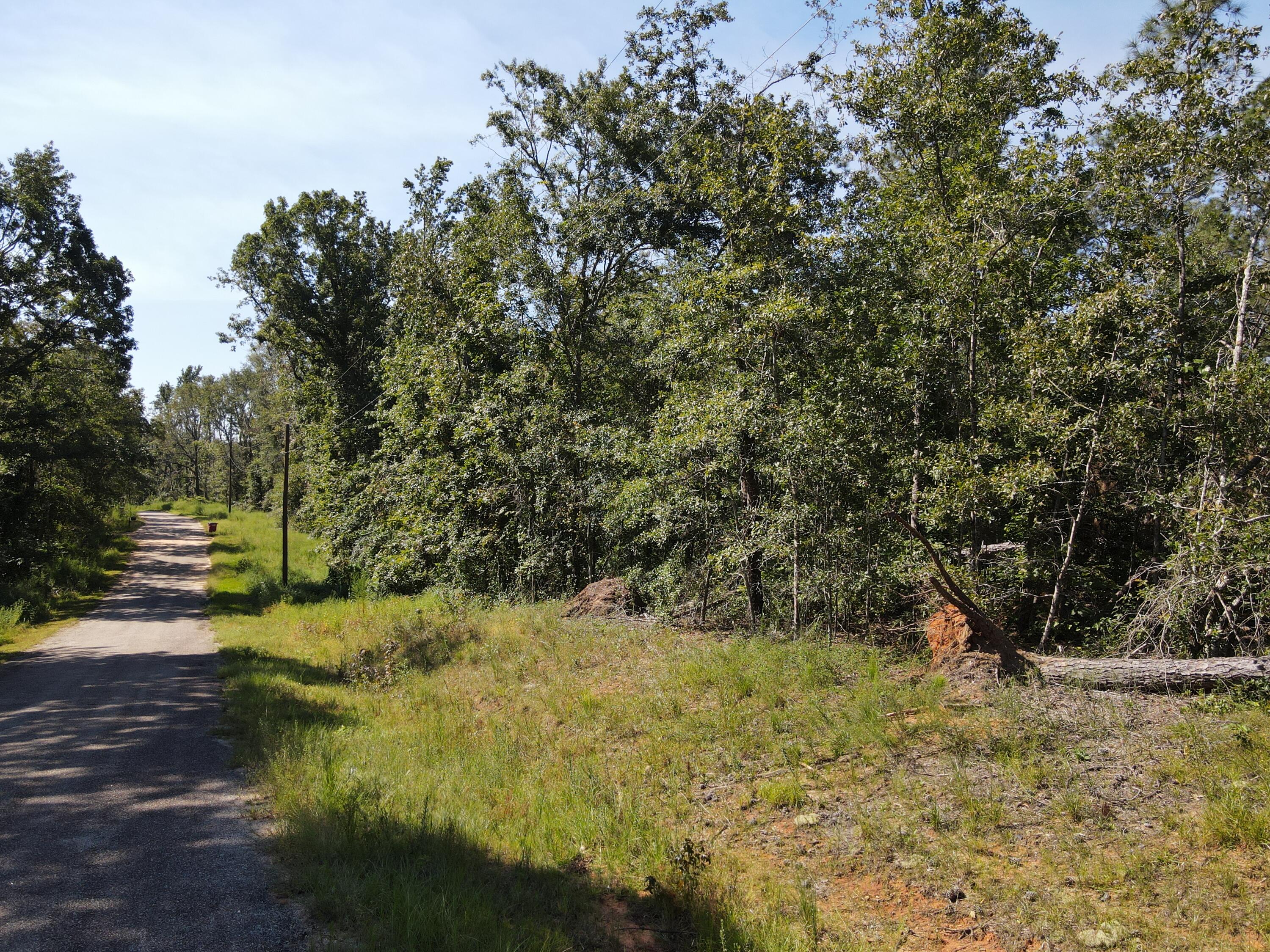 11-c & 12c Mini Farms Road Hephzibah, GA 30815 - Photo 11 of 11 DJI_0933