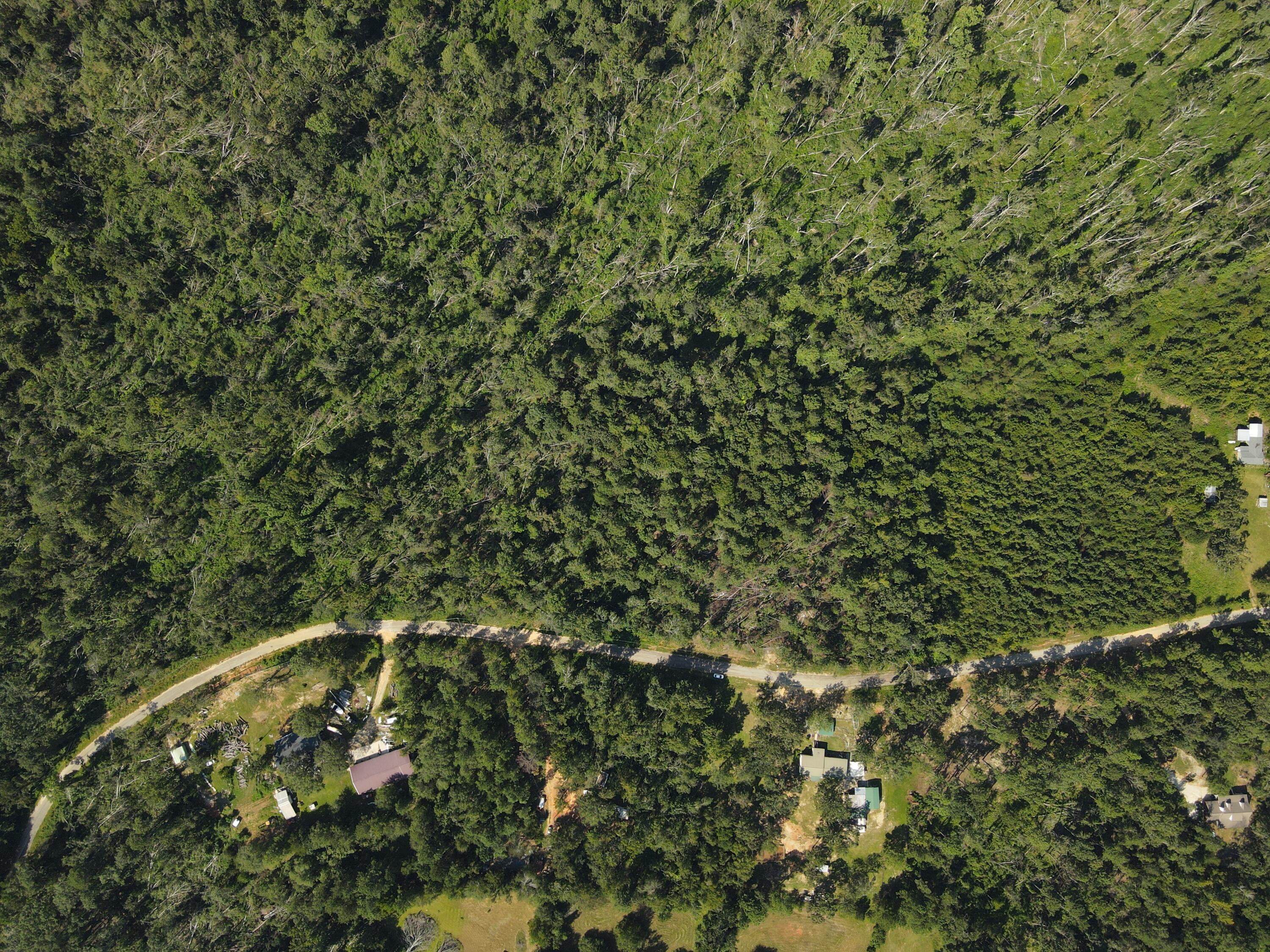 11-c & 12c Mini Farms Road Hephzibah, GA 30815 - Photo 3 of 11 DJI_0922