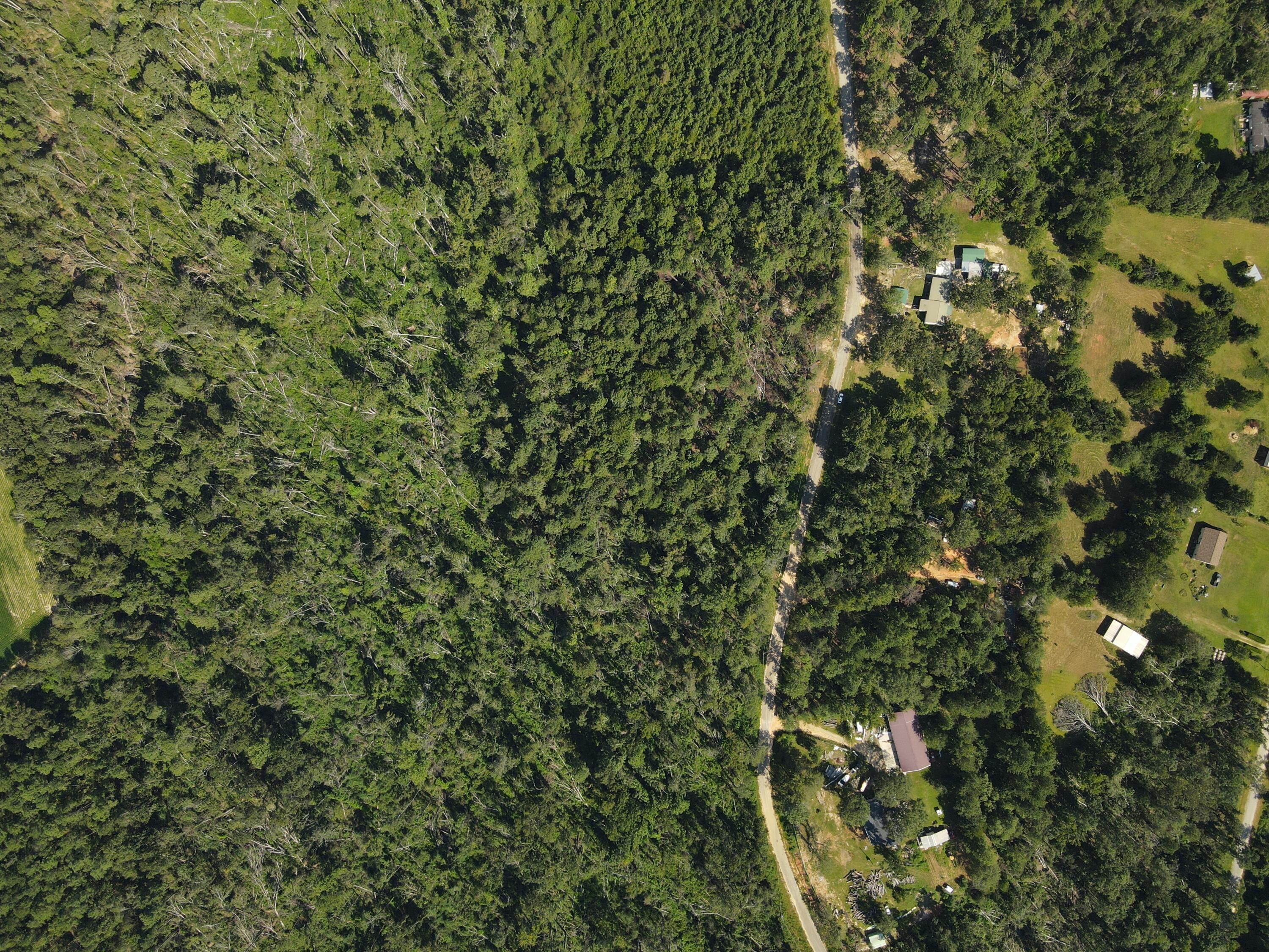 11-c & 12c Mini Farms Road Hephzibah, GA 30815 - Photo 5 of 11 DJI_0923