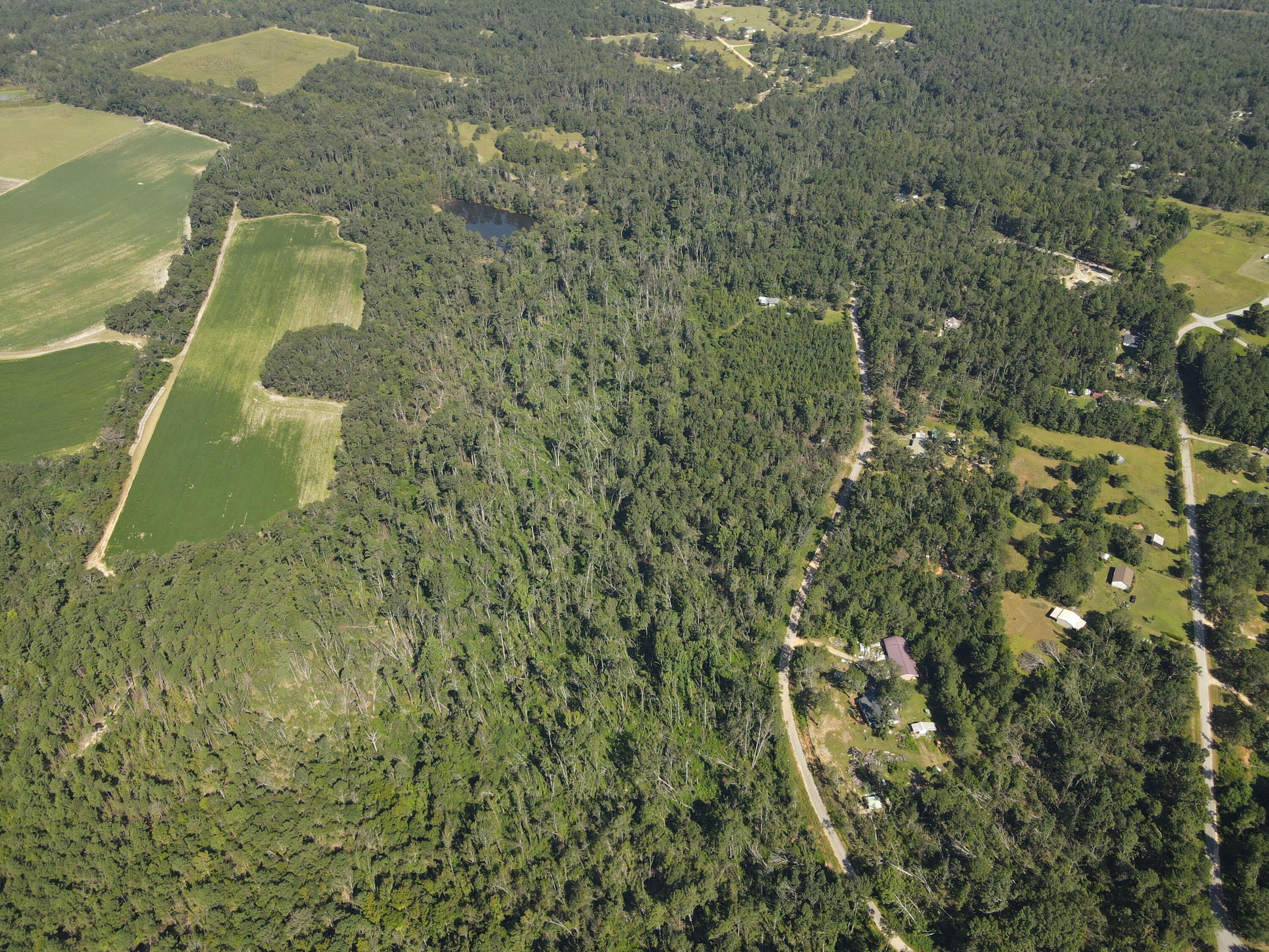 11-c & 12c Mini Farms Road Hephzibah, GA 30815 - Photo 8 of 11 DJI_0909