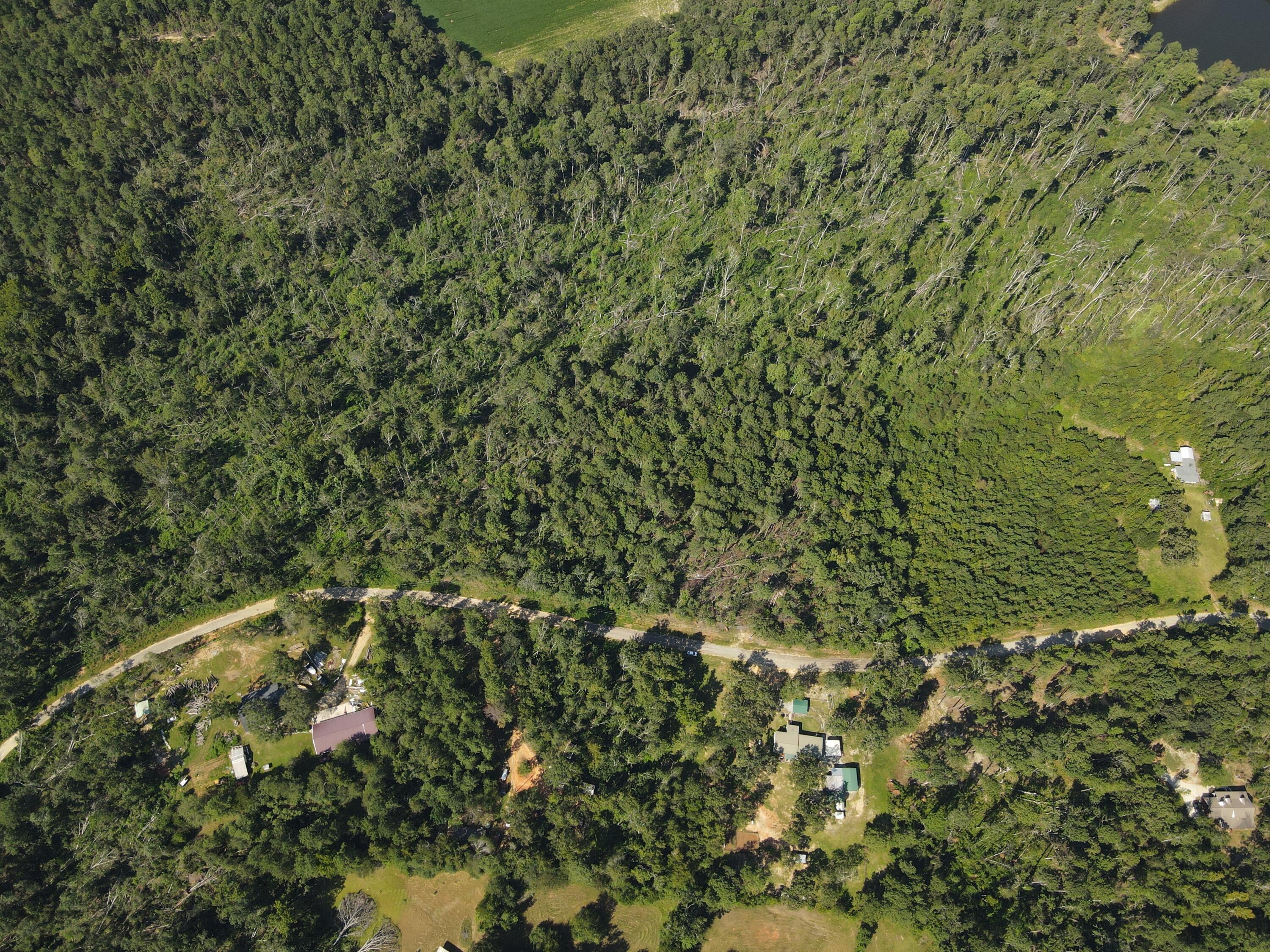 11-c & 12c Mini Farms Road Hephzibah, GA 30815 - Photo 9 of 11 DJI_0903