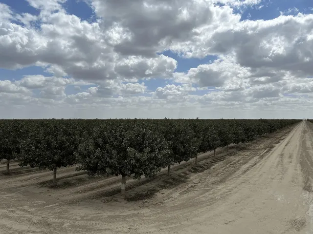 a view of swimming pool with a yard
