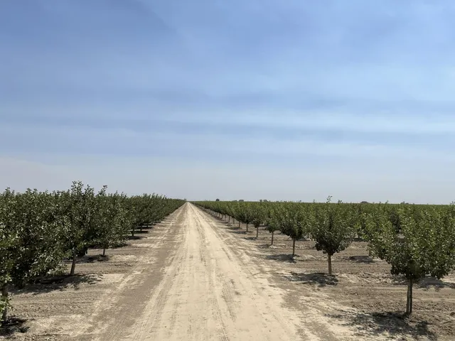 a view of a road with a snow in the background