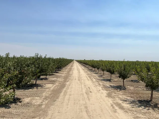 a view of a lake with beach and city view