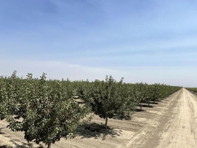 a view of a lake with a mountain in the background