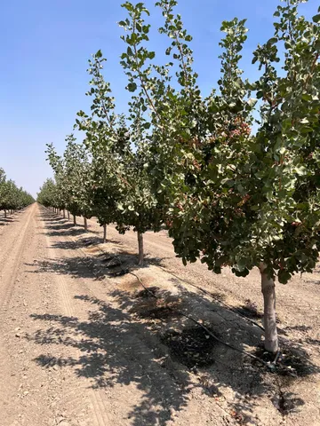 a view of a swimming pool