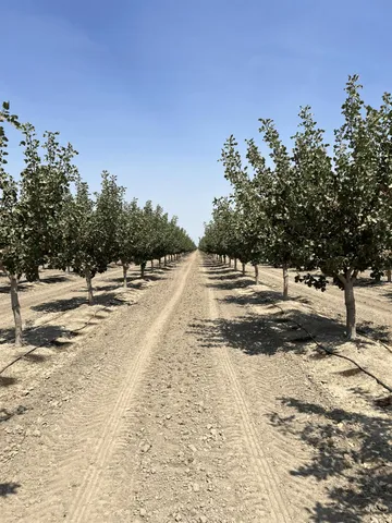 a view of a lake with a sitting space