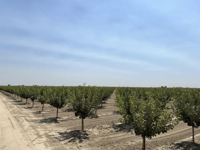 a view of a swimming pool and outdoor space