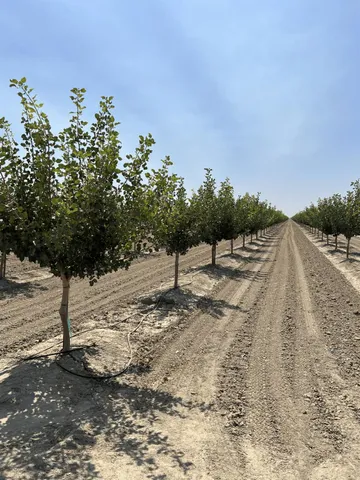 a view of a ocean beach
