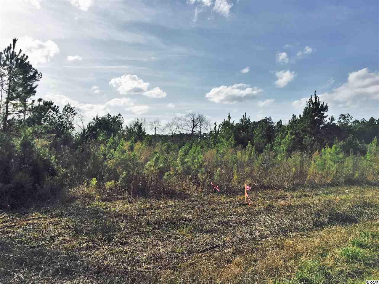 5-acres Harvey Road Loris, SC 29569 - Photo 2 of 15 Gallery Image 2