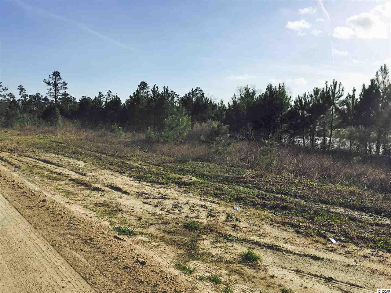 5-acres Harvey Road Loris, SC 29569 - Photo 12 of 15 Gallery Image 12