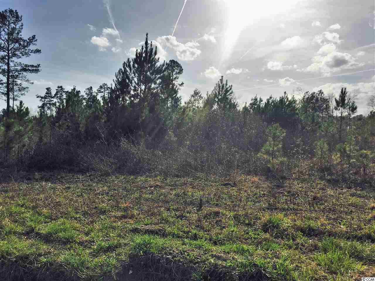 5-acres Harvey Road Loris, SC 29569 - Photo 13 of 15 Gallery Image 13
