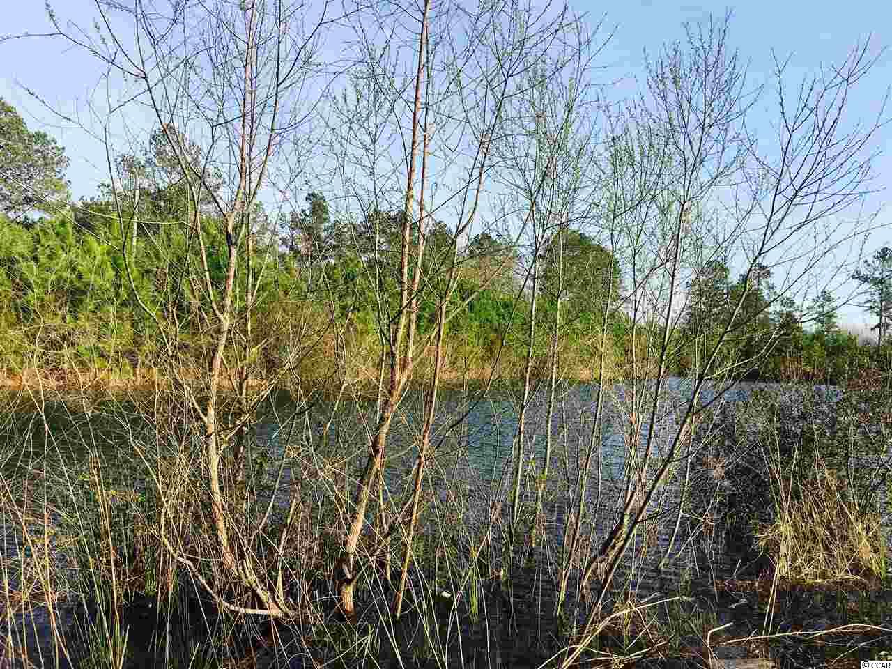 5-acres Harvey Road Loris, SC 29569 - Photo 14 of 15 Gallery Image 14