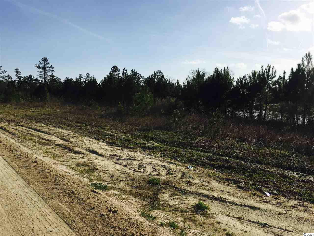 5-acres Harvey Road Loris, SC 29569 - Photo 15 of 15 Gallery Image 15