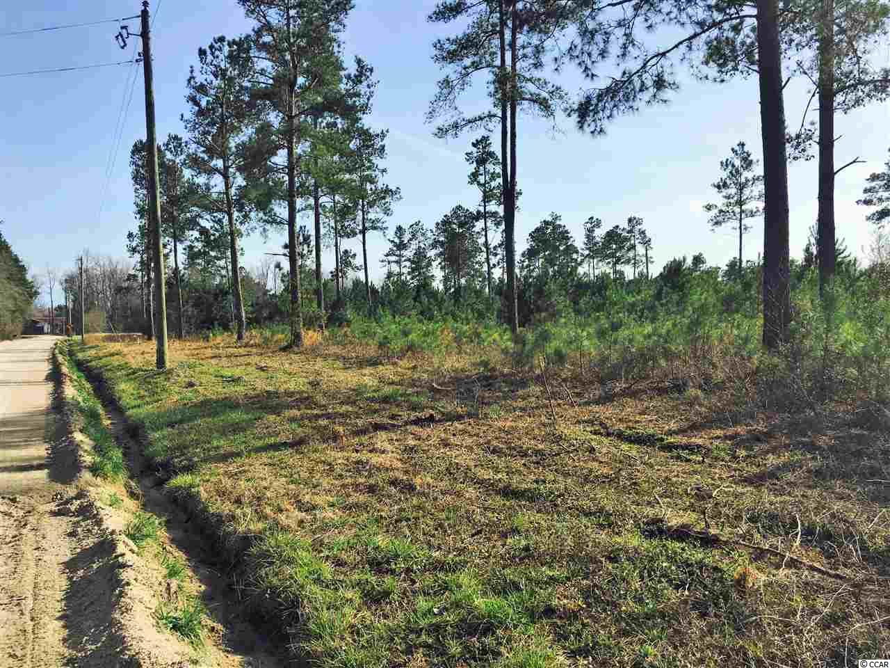 5-acres Harvey Road Loris, SC 29569 - Photo 3 of 15 Gallery Image 3
