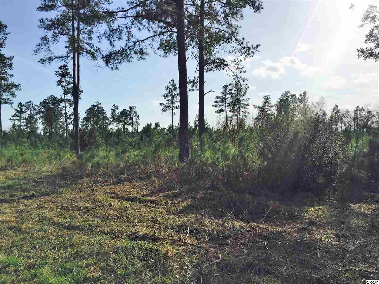 5-acres Harvey Road Loris, SC 29569 - Photo 4 of 15 Gallery Image 4