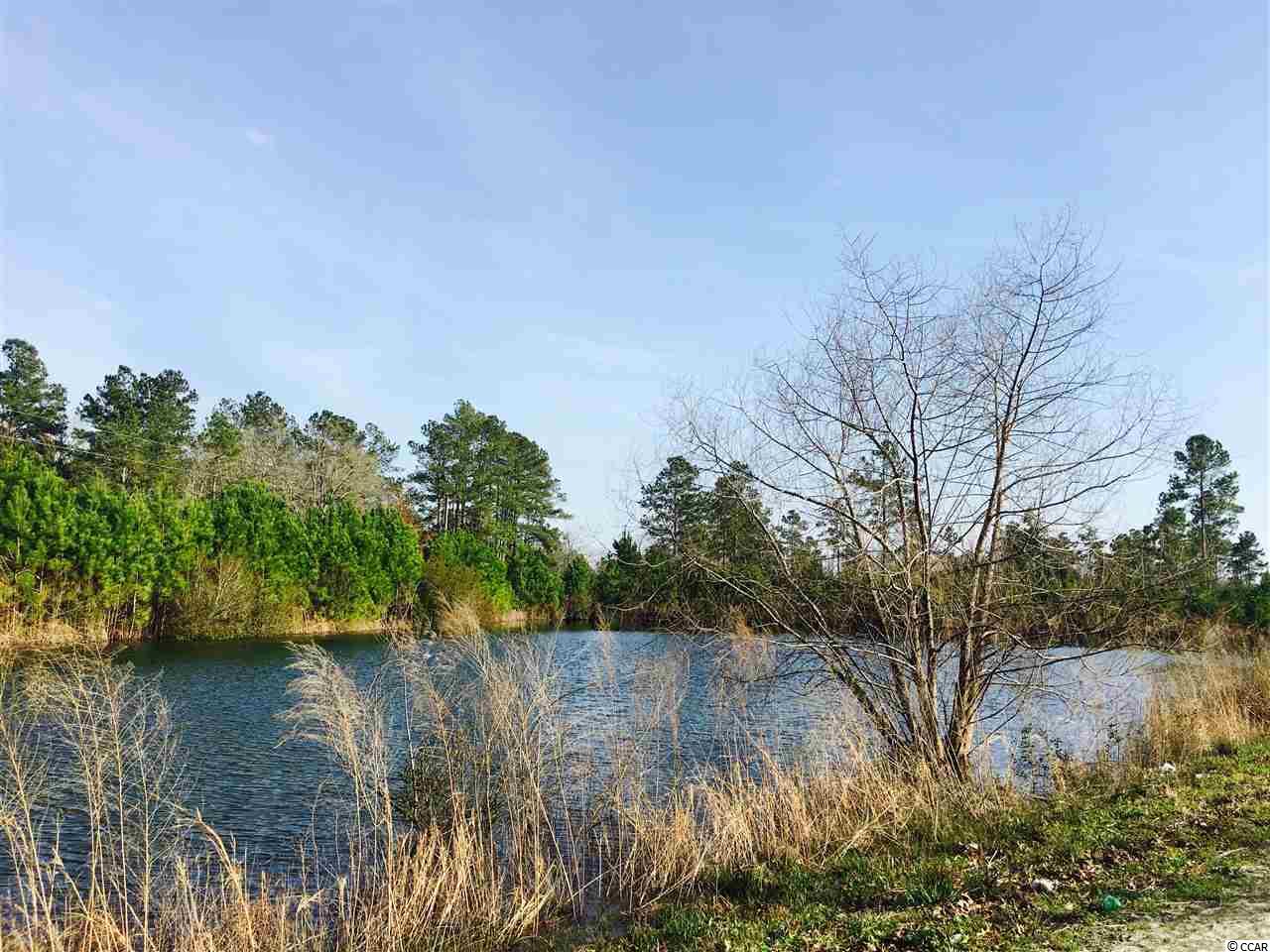 5-acres Harvey Road Loris, SC 29569 - Photo 5 of 15 Gallery Image 5