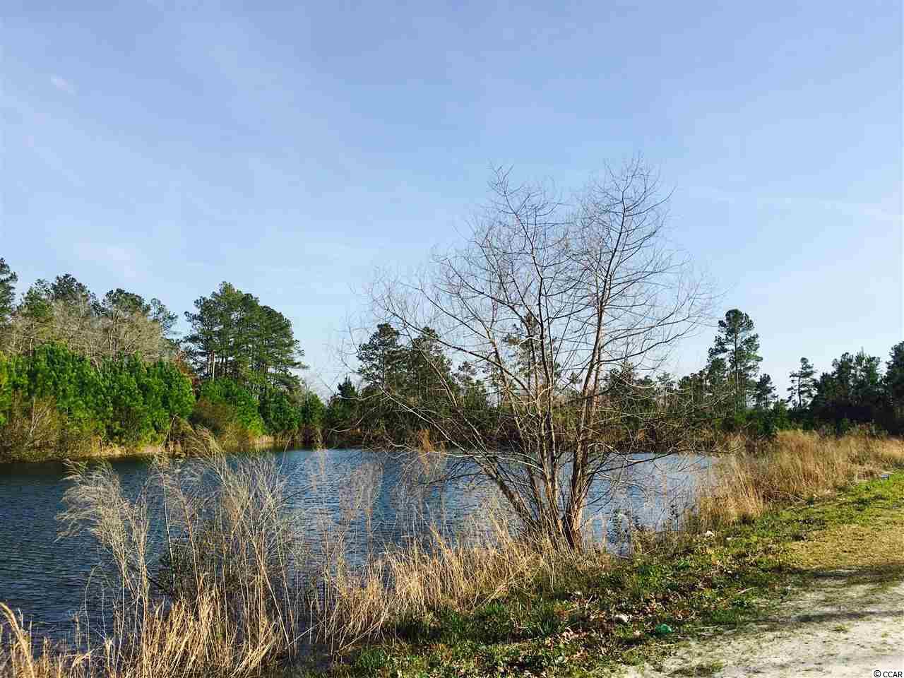 5-acres Harvey Road Loris, SC 29569 - Photo 6 of 15 Gallery Image 6