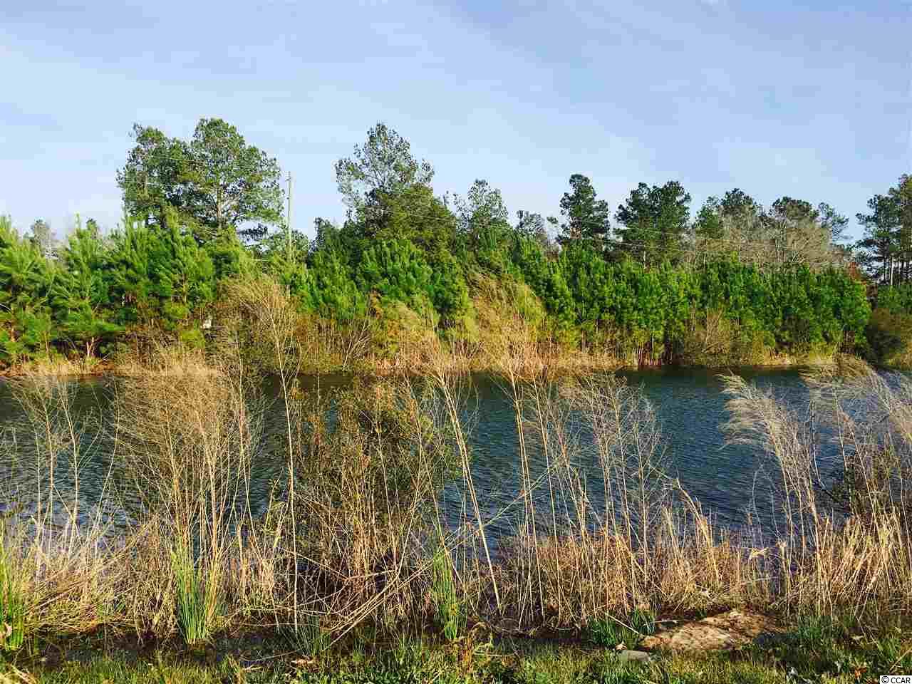 5-acres Harvey Road Loris, SC 29569 - Photo 7 of 15 Gallery Image 7
