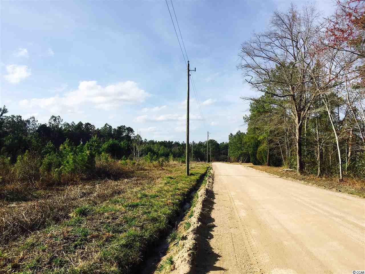 5-acres Harvey Road Loris, SC 29569 - Photo 10 of 15 Gallery Image 10