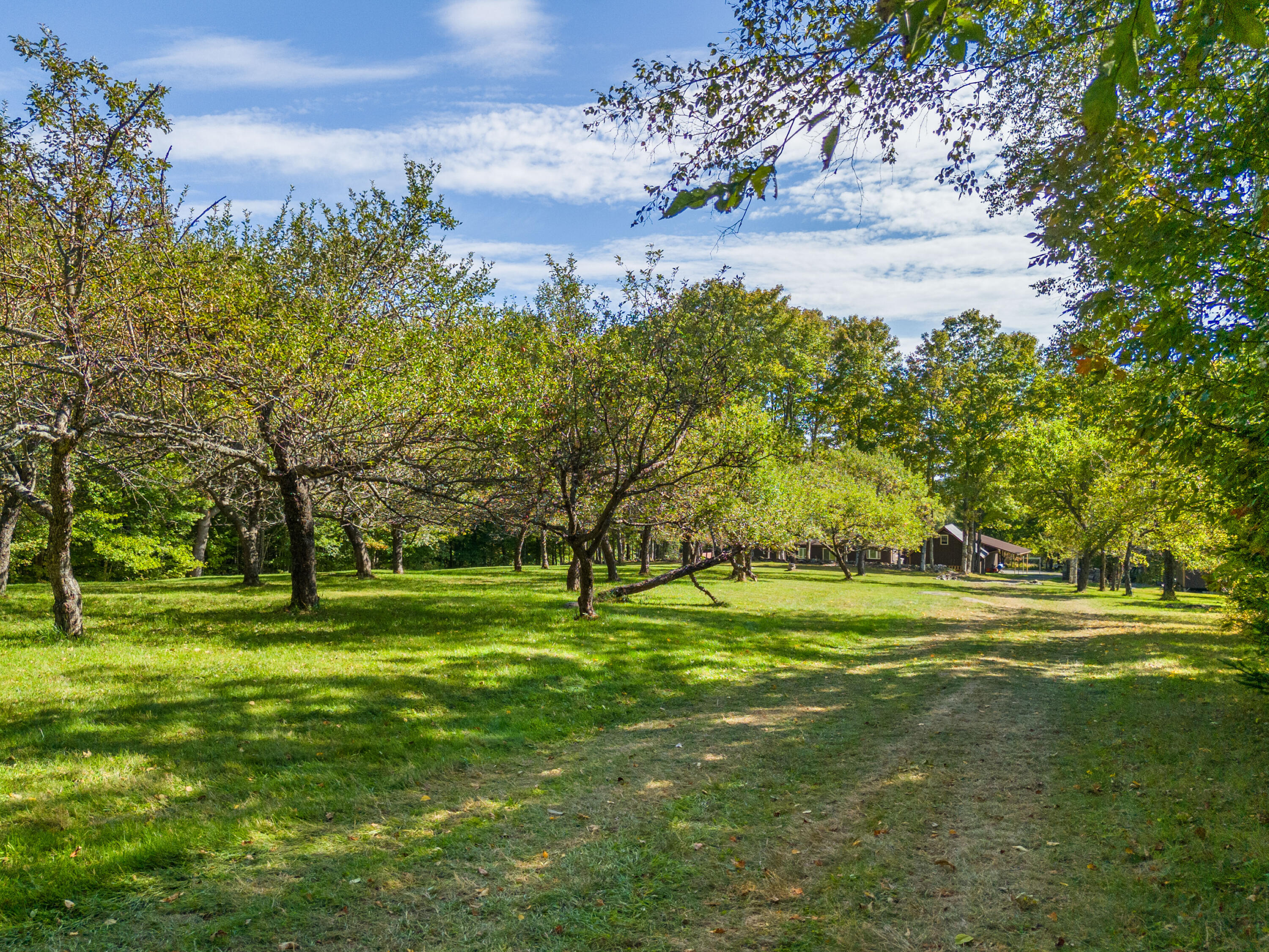 23 Clement Road Parkman, ME 04443 - Photo 41 of 50 House through Orchard