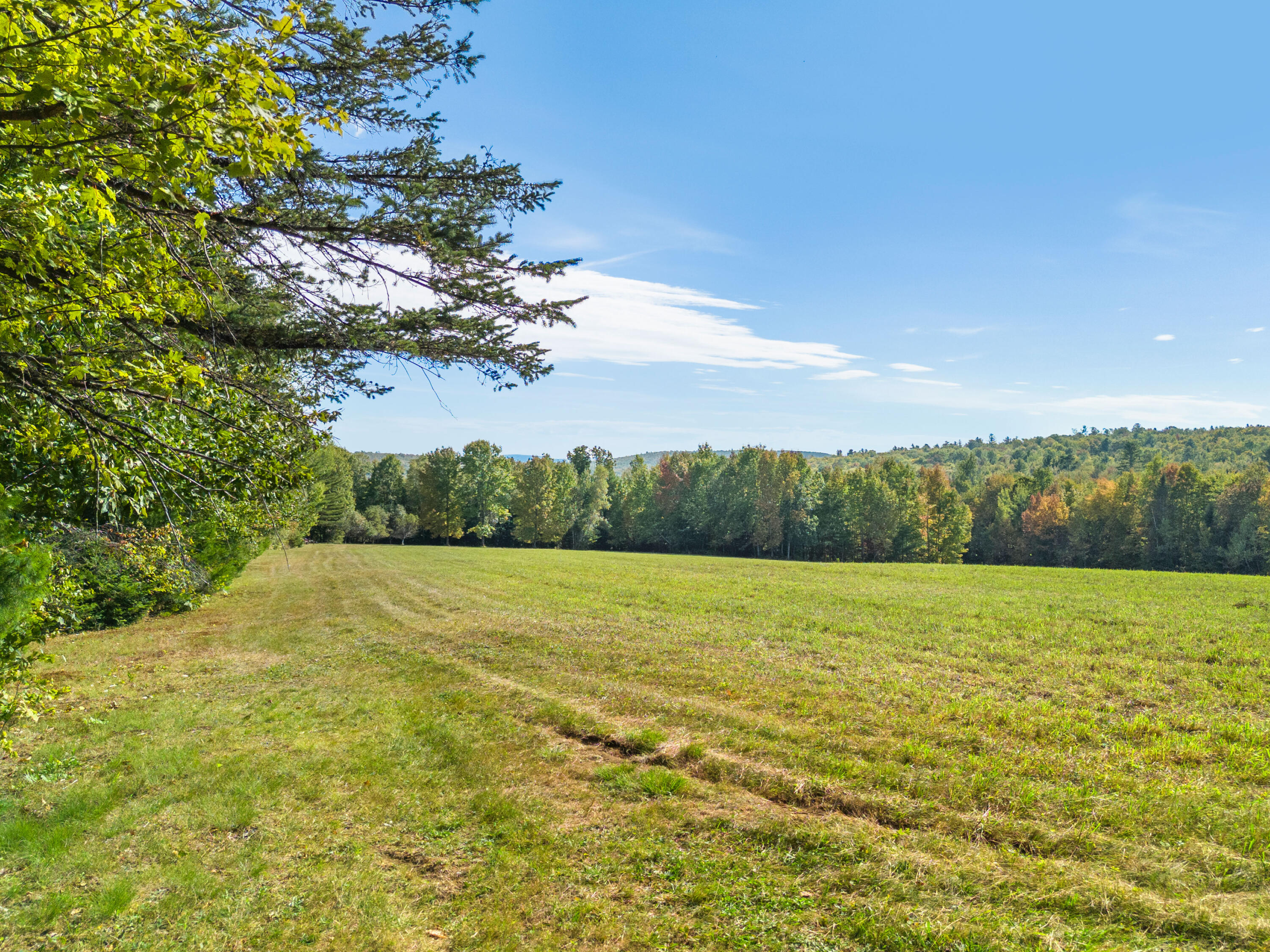 23 Clement Road Parkman, ME 04443 - Photo 49 of 50 Field