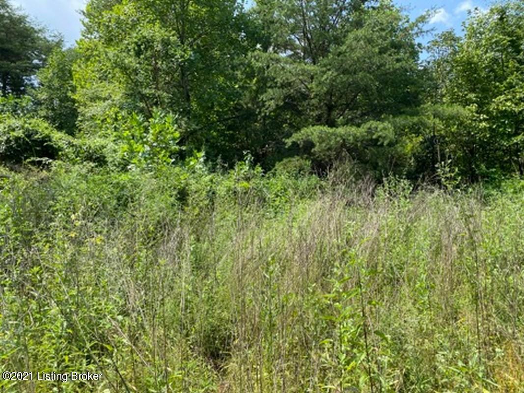 Lot 5-0 Wax Road Clarkson, KY 42726 - Photo 2 of 6 Logsdon Acres North Farm10
