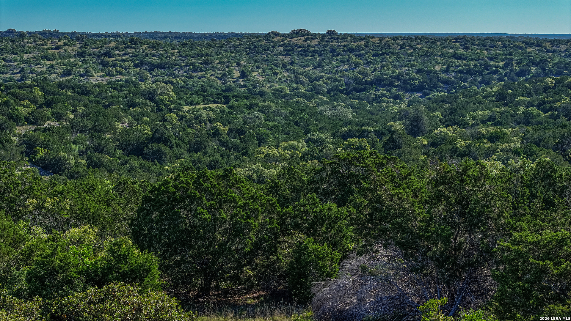 0 Deer Canyons Ranch Rocksprings, TX 78880 - Photo 26 of 39