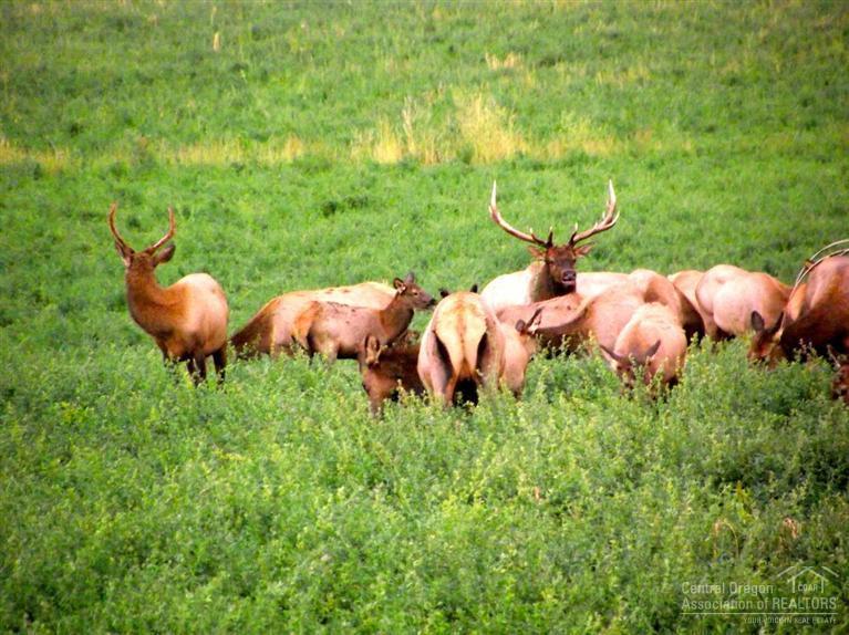 29111 Long Ranch Road Dayville, OR 97825 - Photo 17 of 21 Additional Photo