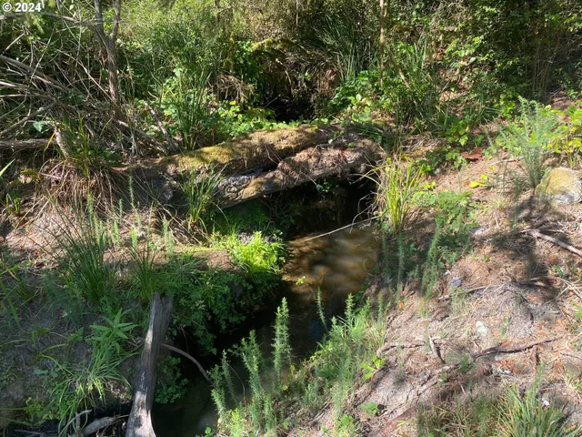 $175,000 | 0 Bill Creek Lane, Bandon, OR 97411