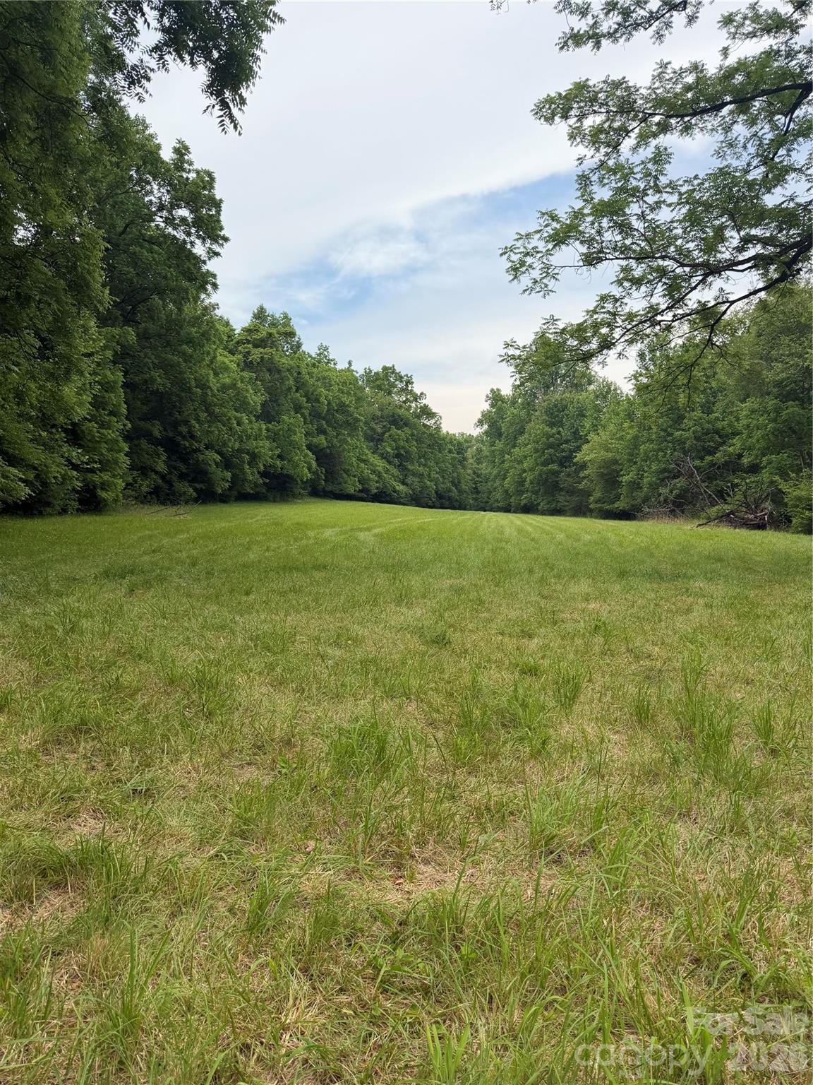 Lot 11 Parker Padgett Road Old Fort, NC 28762 - Photo 4 of 4