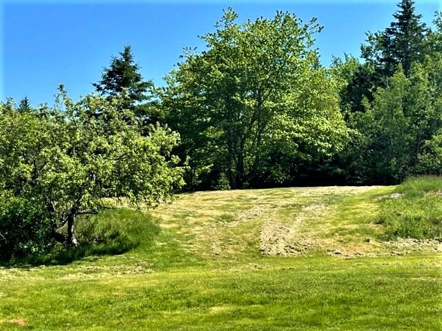 68 Joy Road Gouldsboro, ME 04607 - Photo 16 of 45 Joy3