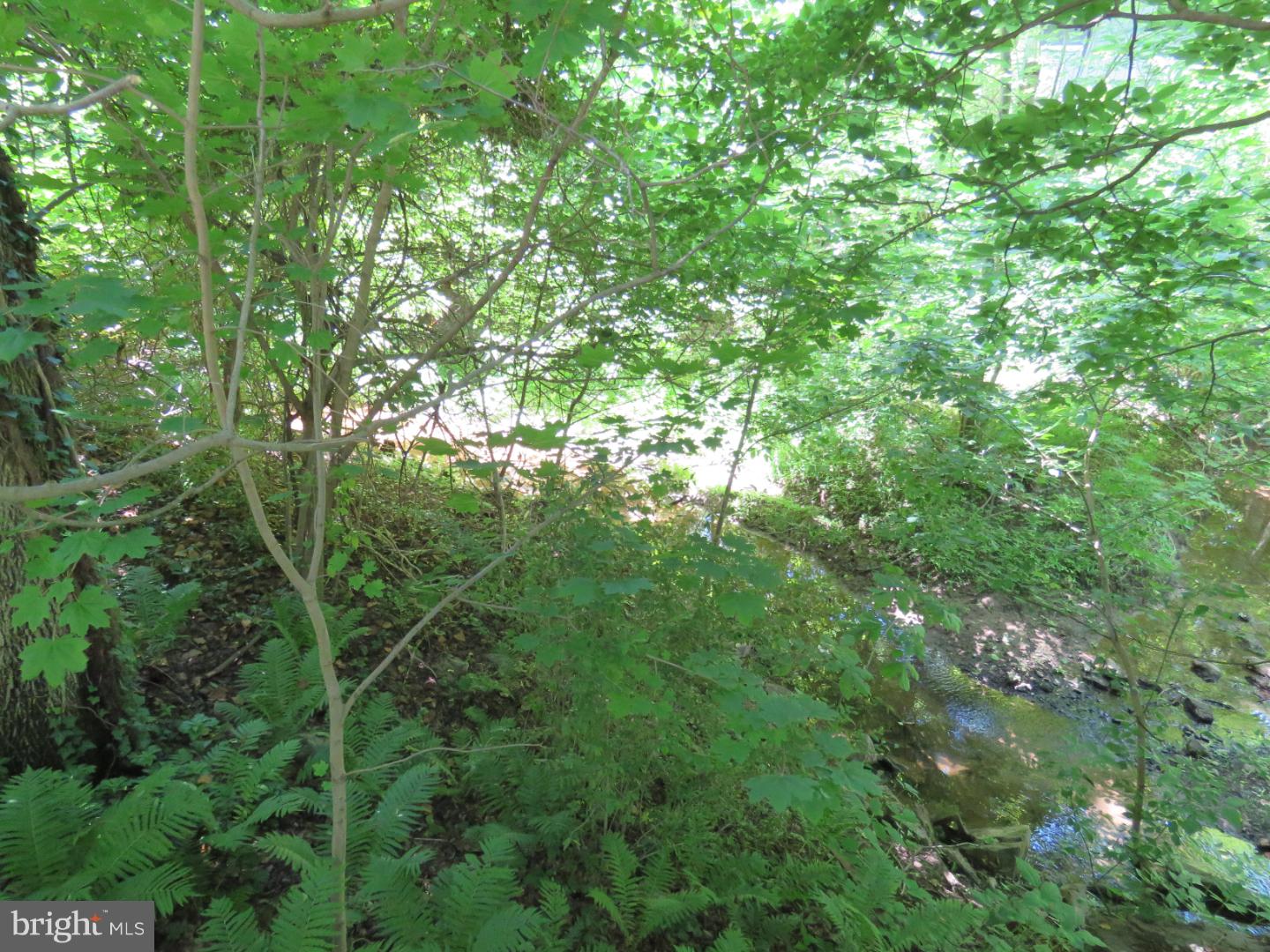 1140 Woodside Road Washington Crossing, PA 18977 - Photo 13 of 14
