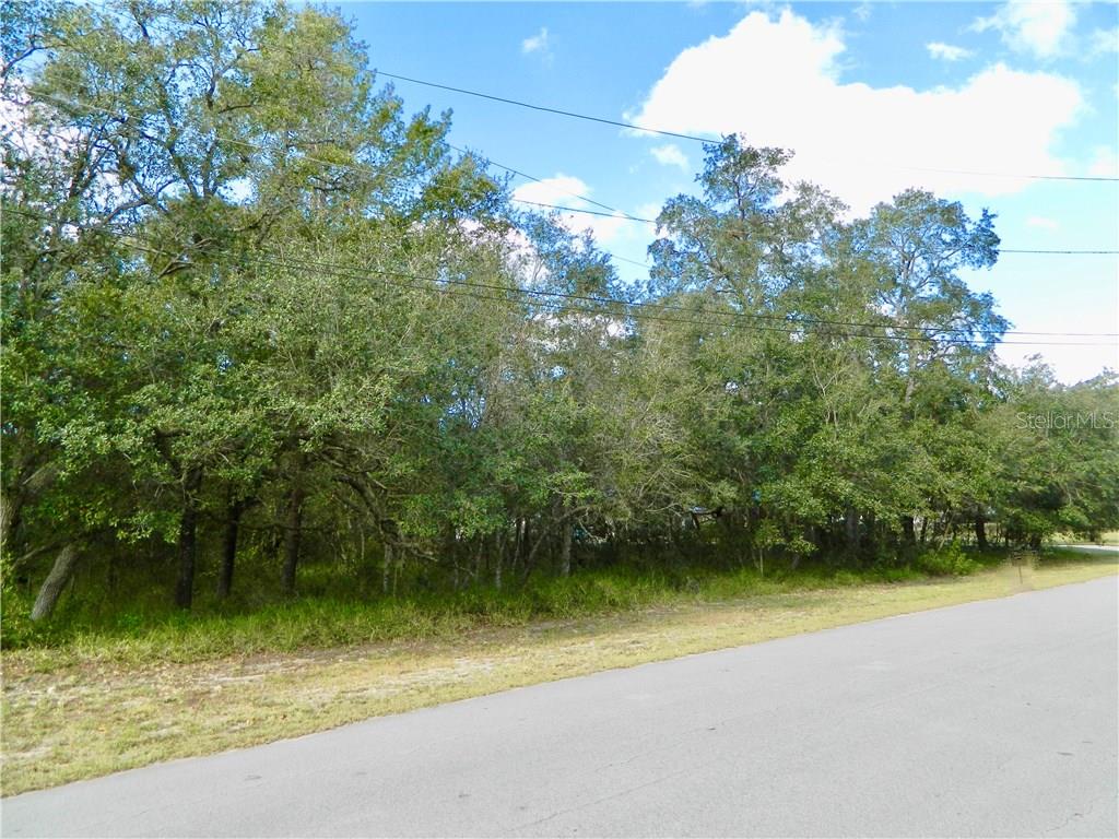 a view of a lake from a yard