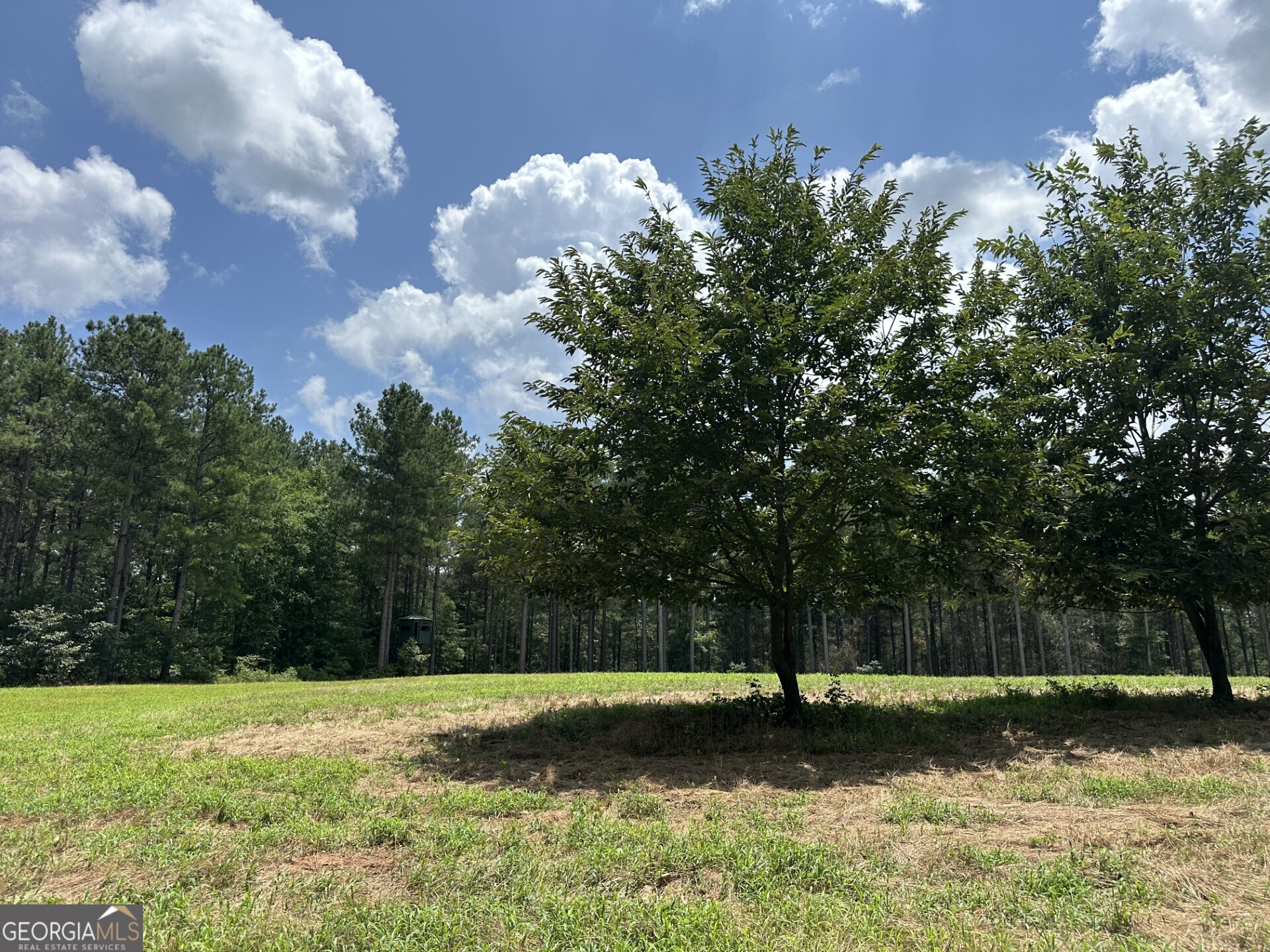 360 Happy Hollow Road Comer, GA 30629 - Photo 21 of 31