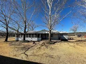 a view of a yard with a large tree