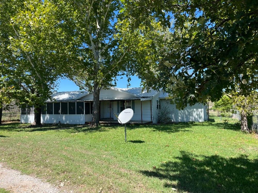 a view of a yard with plants and large tree